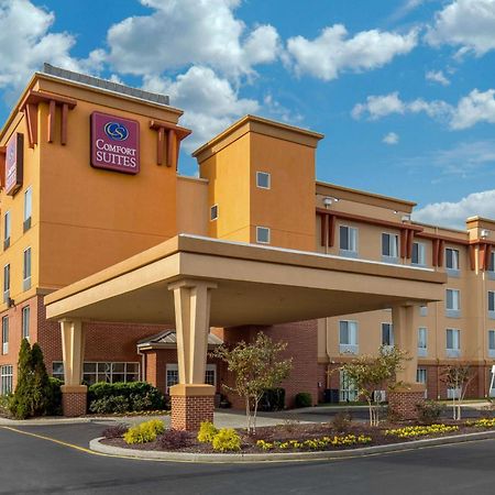 Comfort Suites Seaford Bagian luar foto